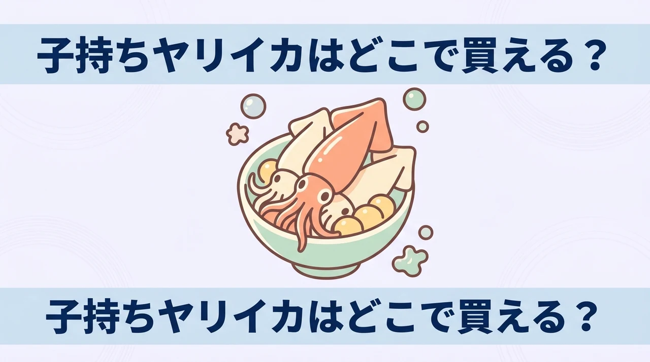 子持ちヤリイカはどこで売ってる?どこで買える?